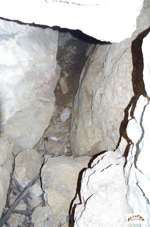 grotte herring 26