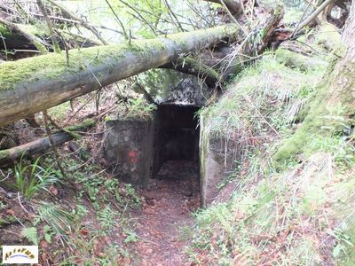 bunker 9