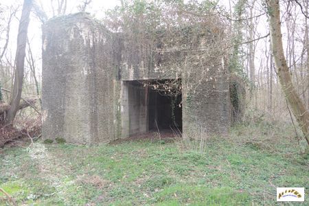 bunker drachen 1