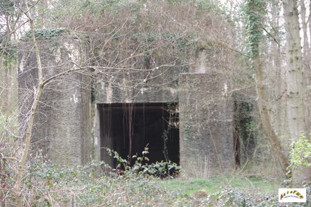 bunker drachen 15