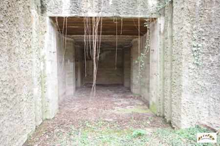 bunker drachen 4