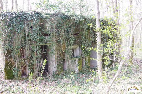 bunker vorwald 11