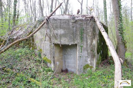 bunker vorwald 13