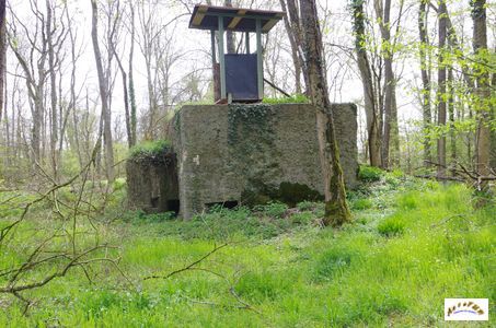 bunker vorwald 15