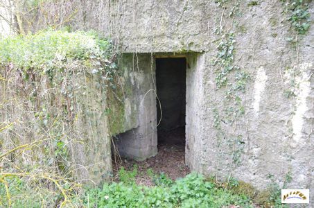 bunker vorwald 16