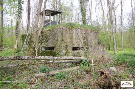 bunker vorwald 18
