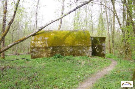 bunker vorwald 25
