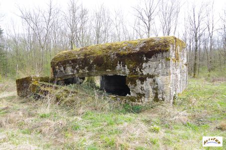 bunker vorwald 31