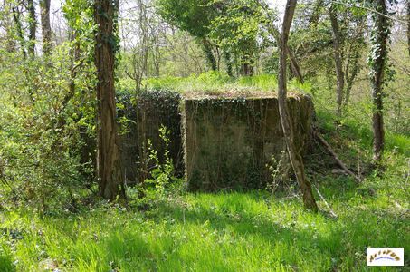 bunker vorwald 34