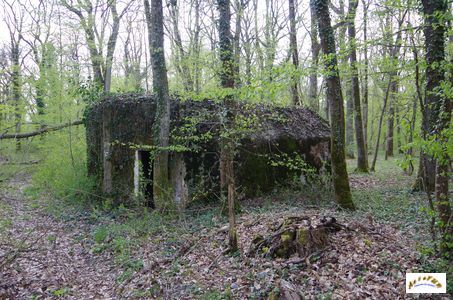 bunker vorwald 36
