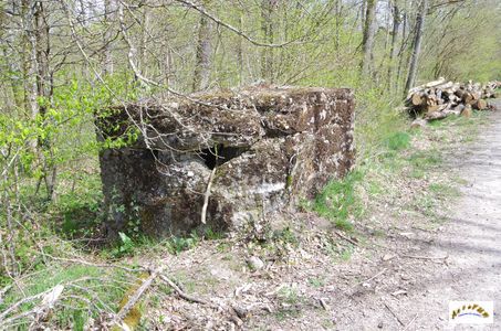 bunker vorwald 6
