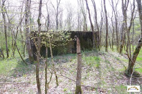 bunker vorwald 7