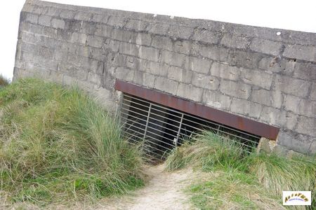 cosy bunker 4