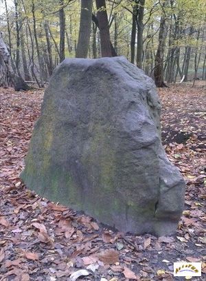 pierre au moine 2