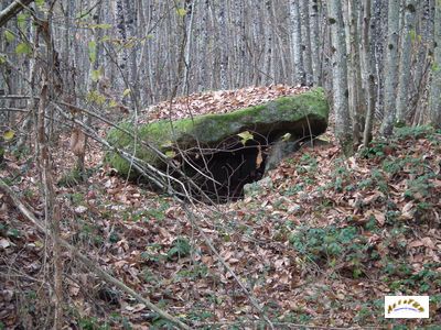 le dolmen du Bois Plantaire