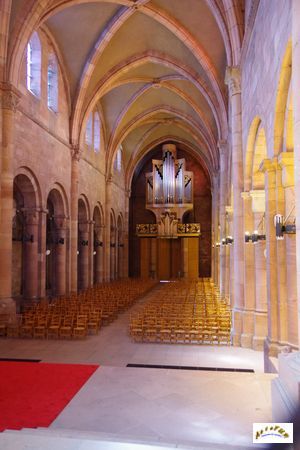 cathedrale saint die11